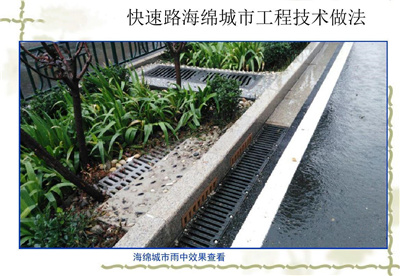 雨水收集系统涉及到城市雨水资源的科学管理