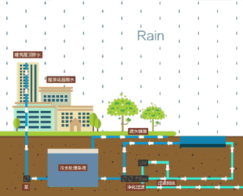使用雨水收集系统的雨水花园的妙处